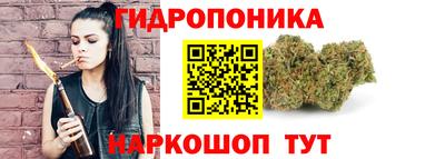 гидропоника Норильск