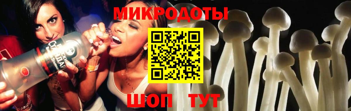 Псилоцибиновые грибы GOLDEN TEACHER Грязи